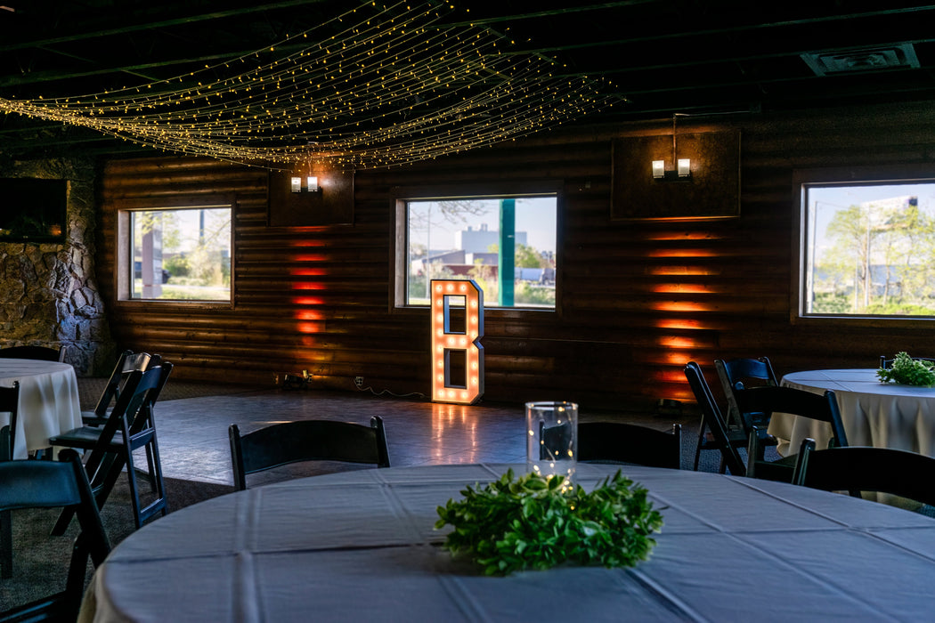 Canopy Lighting Kit Lights for Christmas