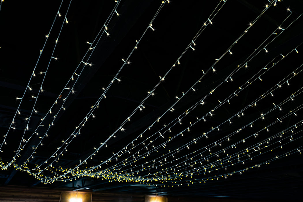 Canopy Lighting Kit Lights for Christmas