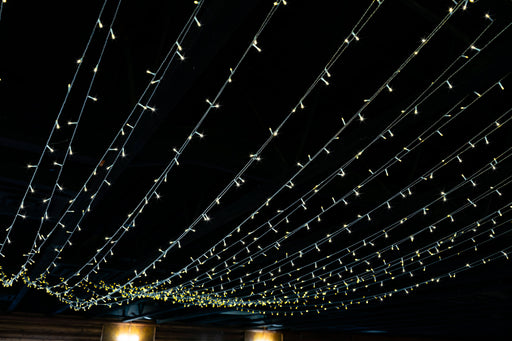 Canopy Lighting Kit Lights for Christmas