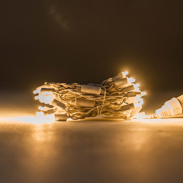 Canopy Lighting Kit Lights for Christmas 20'