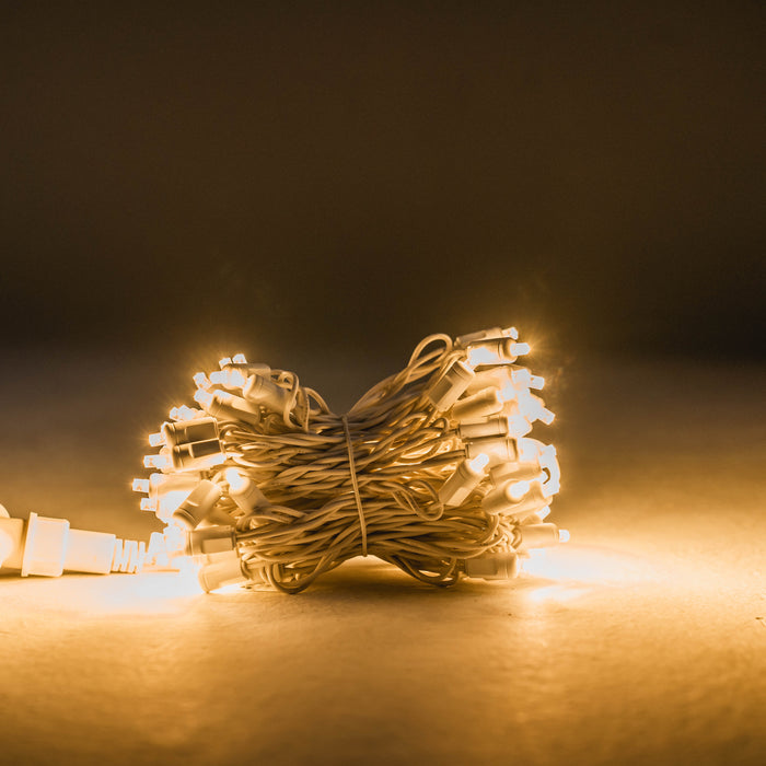 Canopy Lighting Kit Lights for Christmas 30'