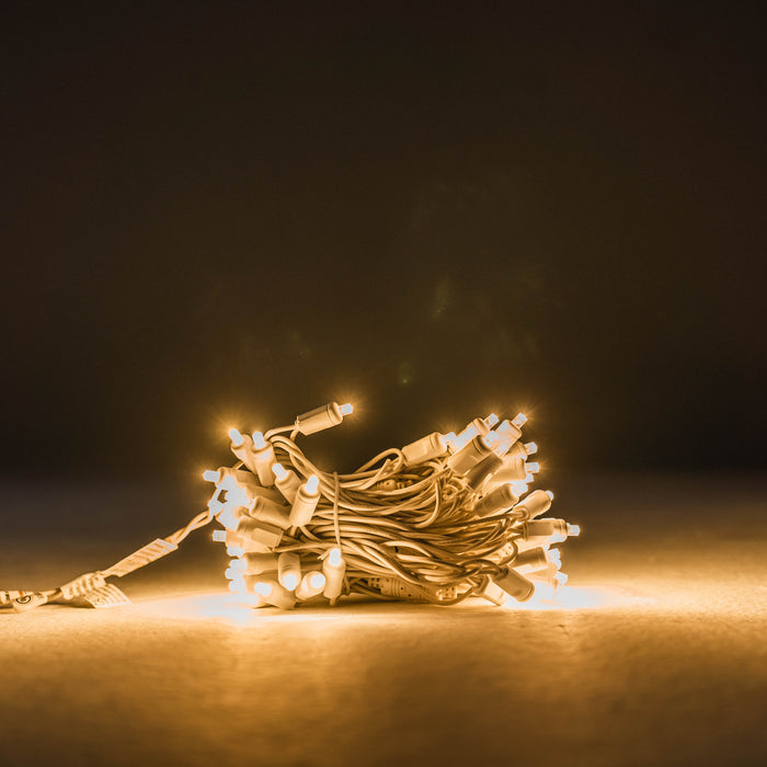 Canopy Lighting Kit Lights for Christmas 10'