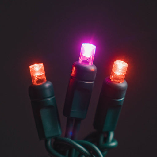 5MM ROSE Motion Light Set 70ct Balled - 4" Spacing (Strobe/twinkle) (GW) Light Sets Lights for Christmas