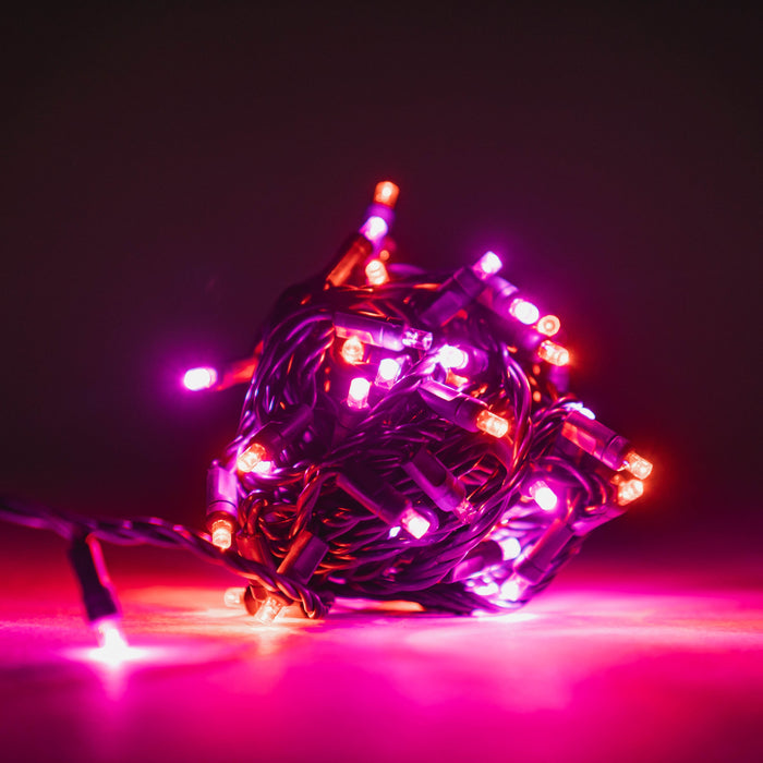 5MM ROSE Motion Light Set 70ct Balled - 4" Spacing (Strobe/twinkle) (GW) Light Sets Lights for Christmas