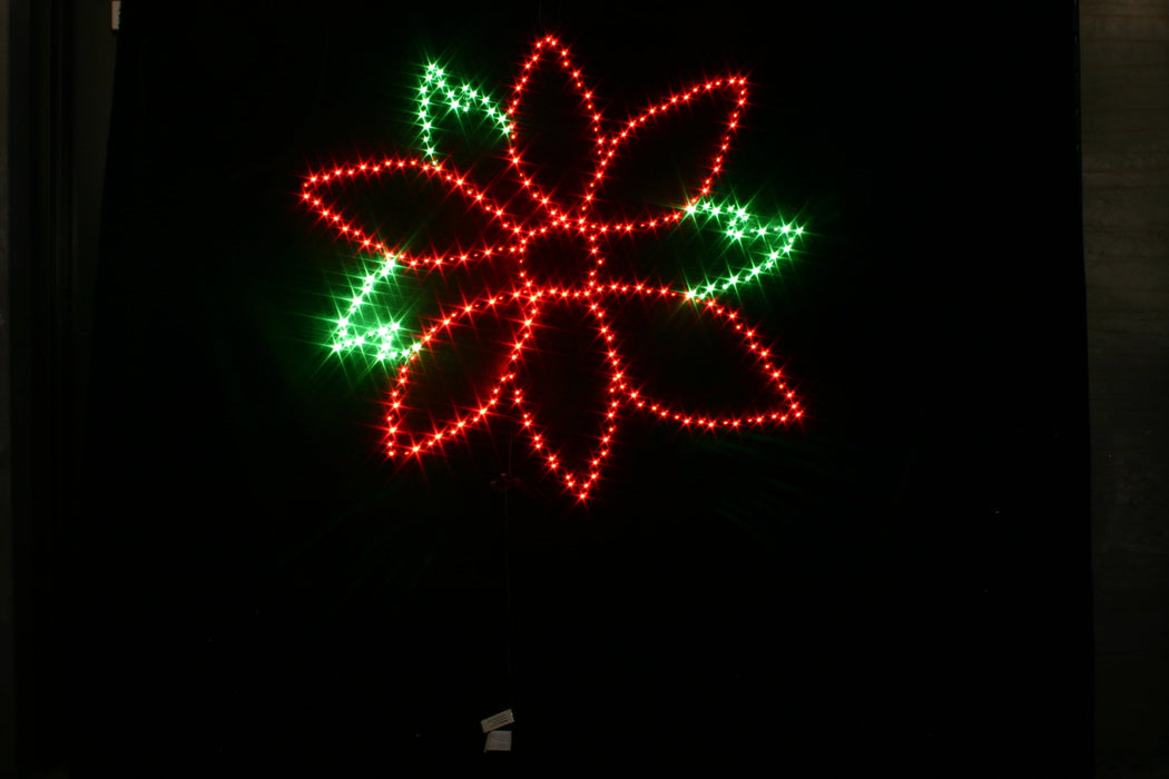 Poinsettia Large 40" Lights for Christmas