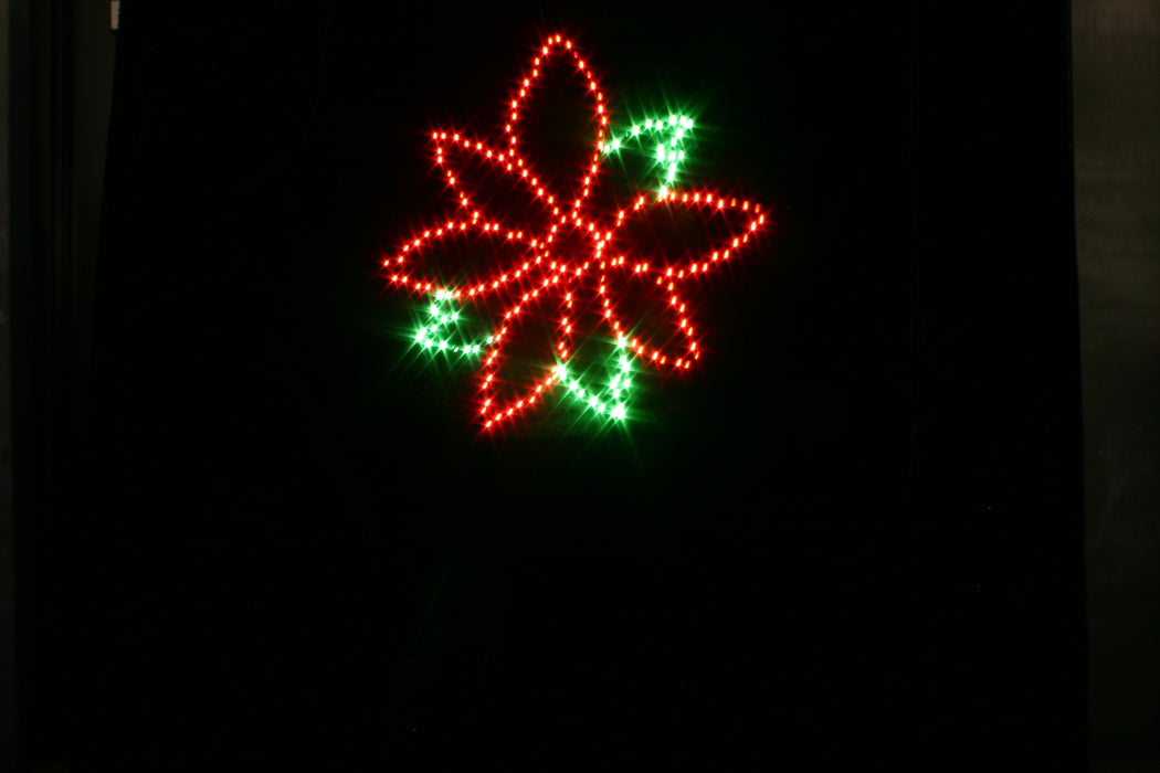 Poinsettia Small 30" Lights for Christmas