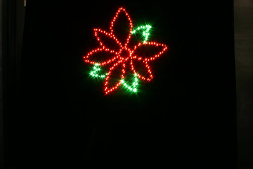 Poinsettia Small 30" Lights for Christmas