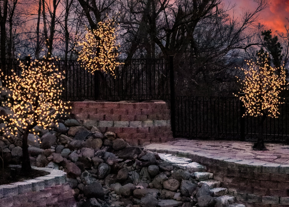 Cherry Tree's Trees Lights for Christmas