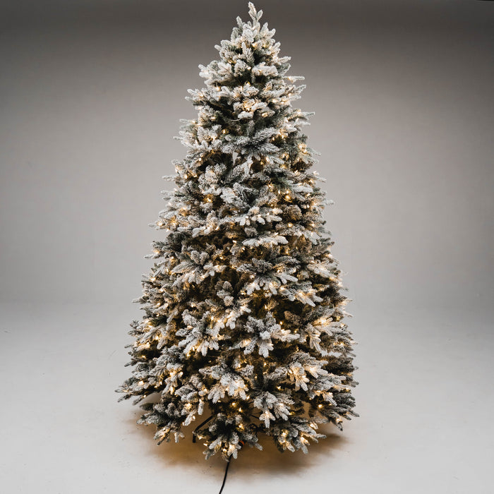 Noble Fir Deluxe Christmas Tree Trees Lights for Christmas 8' Frosted Tips Warm White