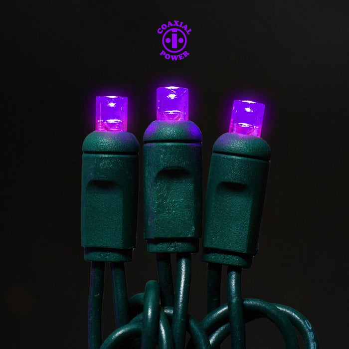 5mm Light Set 50ct Balled- 6" Spacing (Coaxial) (GW) Light Sets Lights for Christmas Purple