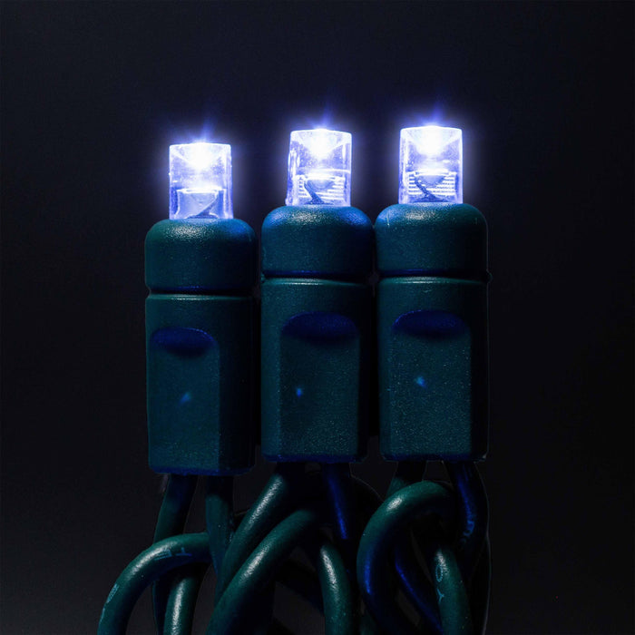 5mm Light Set 50ct Balled-6" Spacing (GW) Light Sets Lights for Christmas Cool White