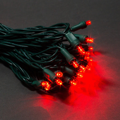 5mm Light Set 50ct Balled-6" Spacing (GW) Light Sets Lights for Christmas