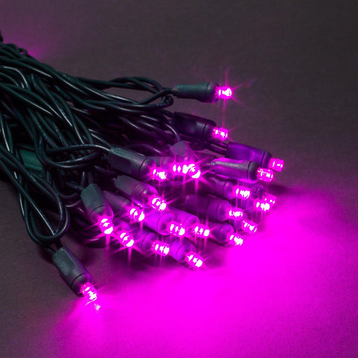 5mm Light Set 50ct Balled-6" Spacing (GW) Light Sets Lights for Christmas