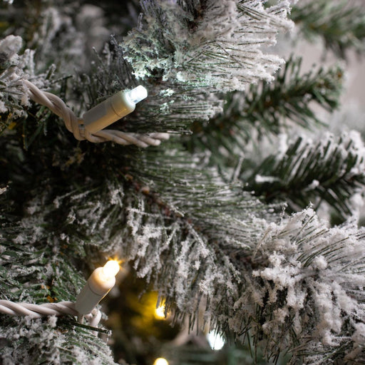 5mm Light Set 50ct Balled-6" Spacing (Warm White) (WW) Light Sets Lights for Christmas
