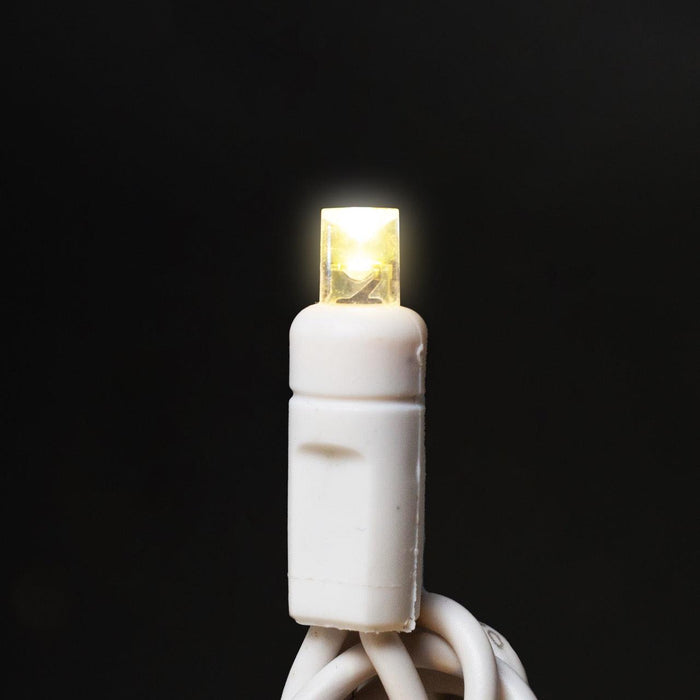 5mm Light Set 50ct Balled-6" Spacing (Warm White) (WW) Light Sets Lights for Christmas Warm White