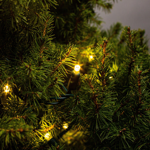 5mm Light Set 70ct Balled-4" Spacing (GW) Light Sets Lights for Christmas