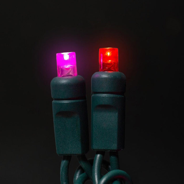 5mm Light Set 70ct Balled-4" Spacing (GW) Light Sets Lights for Christmas Rose (Red / Pink)