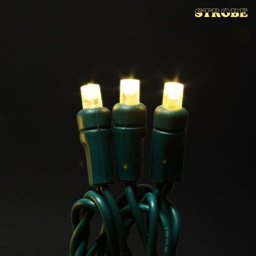 5mm Motion Light Set 50ct Balled-6" Spacing (Strobe / Twinkle) (Green Wire) Light Sets Lights for Christmas Warm White Strobe