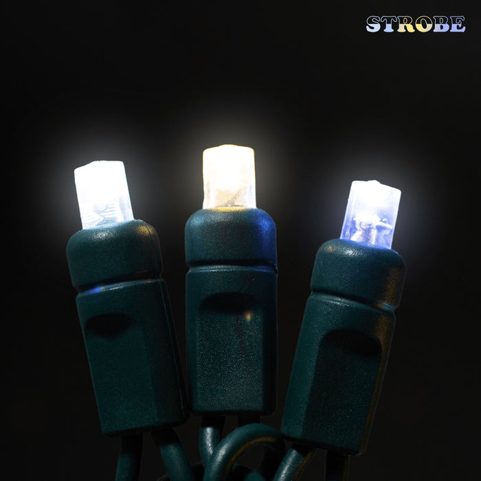 5mm Motion Light Set 70ct Balled-4" Spacing (Strobe / Twinkle) (GW) Light Sets Lights for Christmas Champagne - Strobe (Warm White / Pure White