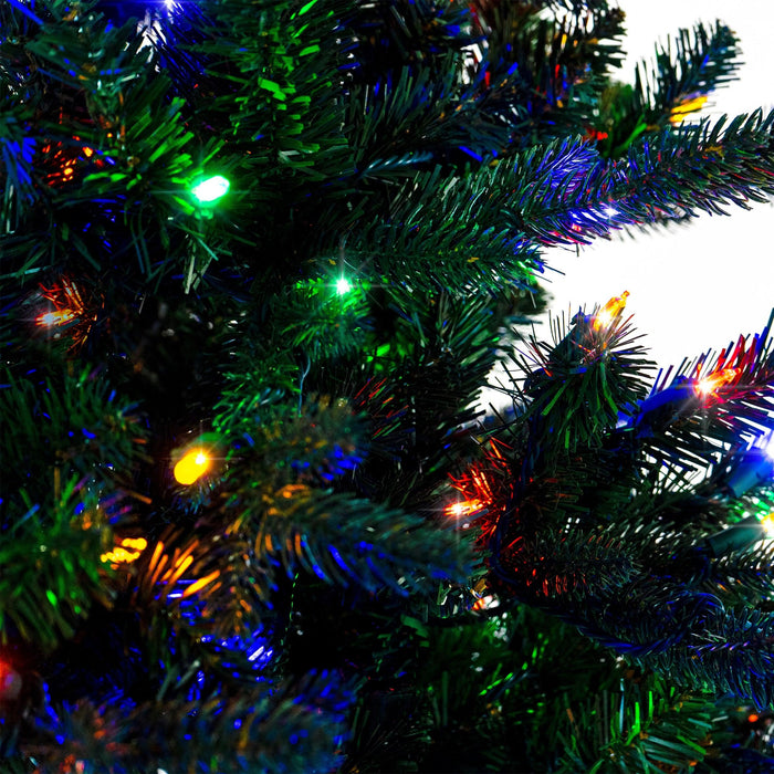 Noble Fir Christmas Tree Trees Lights for Christmas