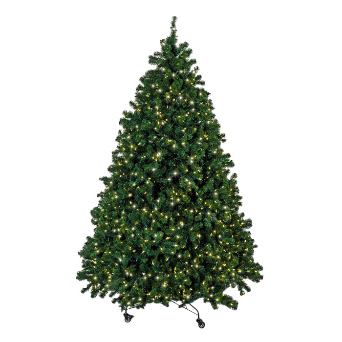 Sequoia Fir Christmas Tree Trees Lights for Christmas 7.5' Warm White