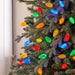 C7 LED Bulbs (25 Bulbs) Bulbs Lights for Christmas 