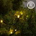 5mm Light Set 50ct Balled- 6" Spacing (Coaxial) (GW) Light Sets Lights for Christmas 