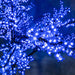 Cherry Tree Trees Lights for Christmas 
