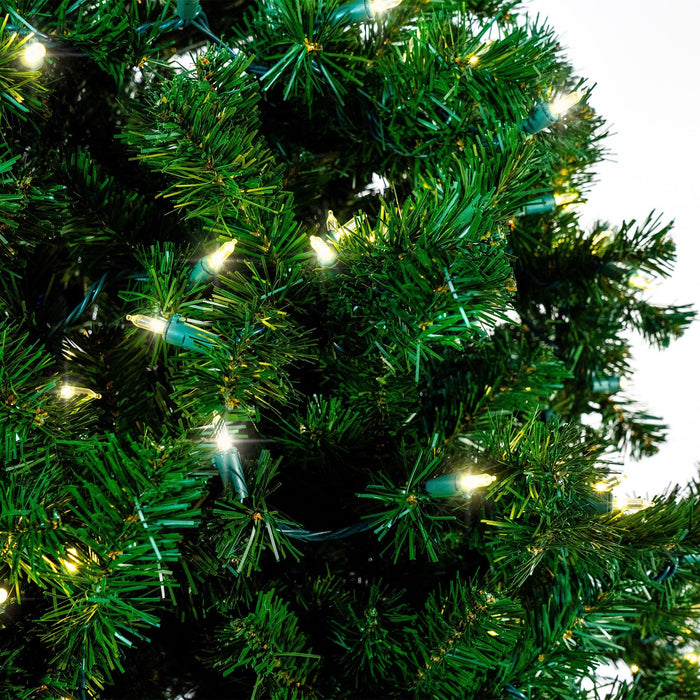 Noble Fir Christmas Tree Trees Lights for Christmas 