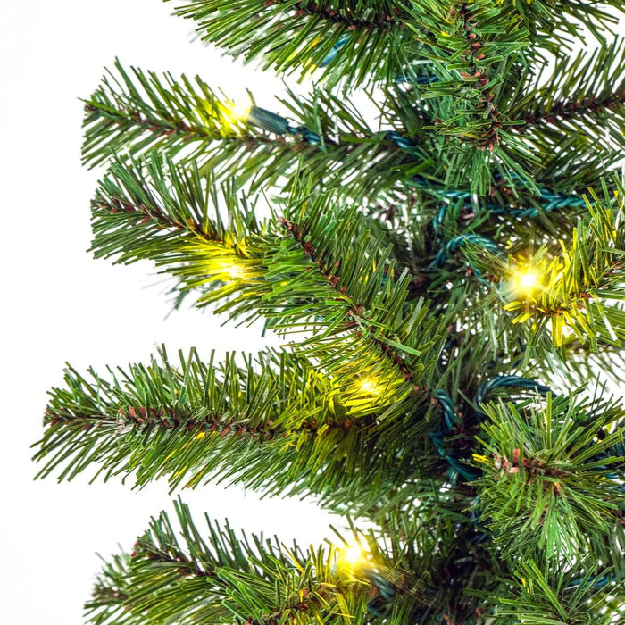 Sequoia Fir Garland - 9' Wreaths & Garland Lights for Christmas Warm White 
